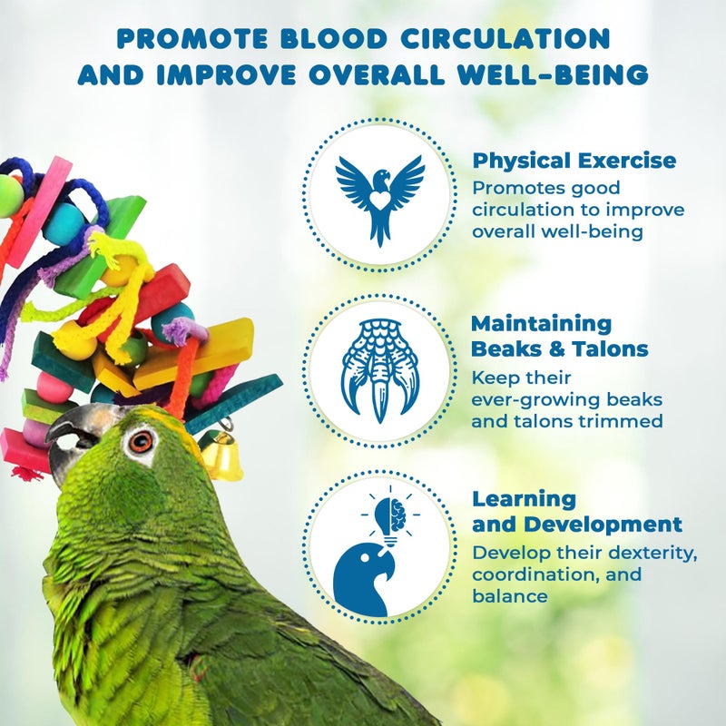 SunGrow Parrot Toy, Medium Chewing Bird Toy for Parakeet, Colorful Chew Toy for Cockatoos African Grey Macaws and Amazon Parrots - Image 5